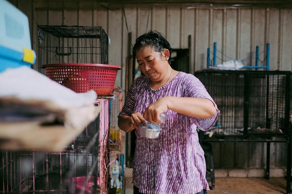 Optimisez le Bonheur de vos Animaux: Conseils d'Experts pour leur Bien-être