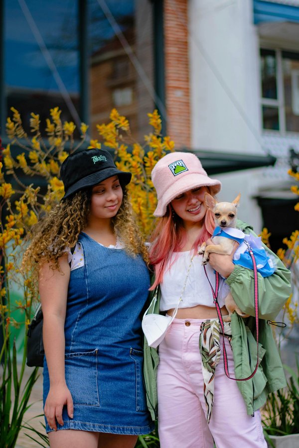 La boutique chiens incontournable pour le bonheur de votre animal !